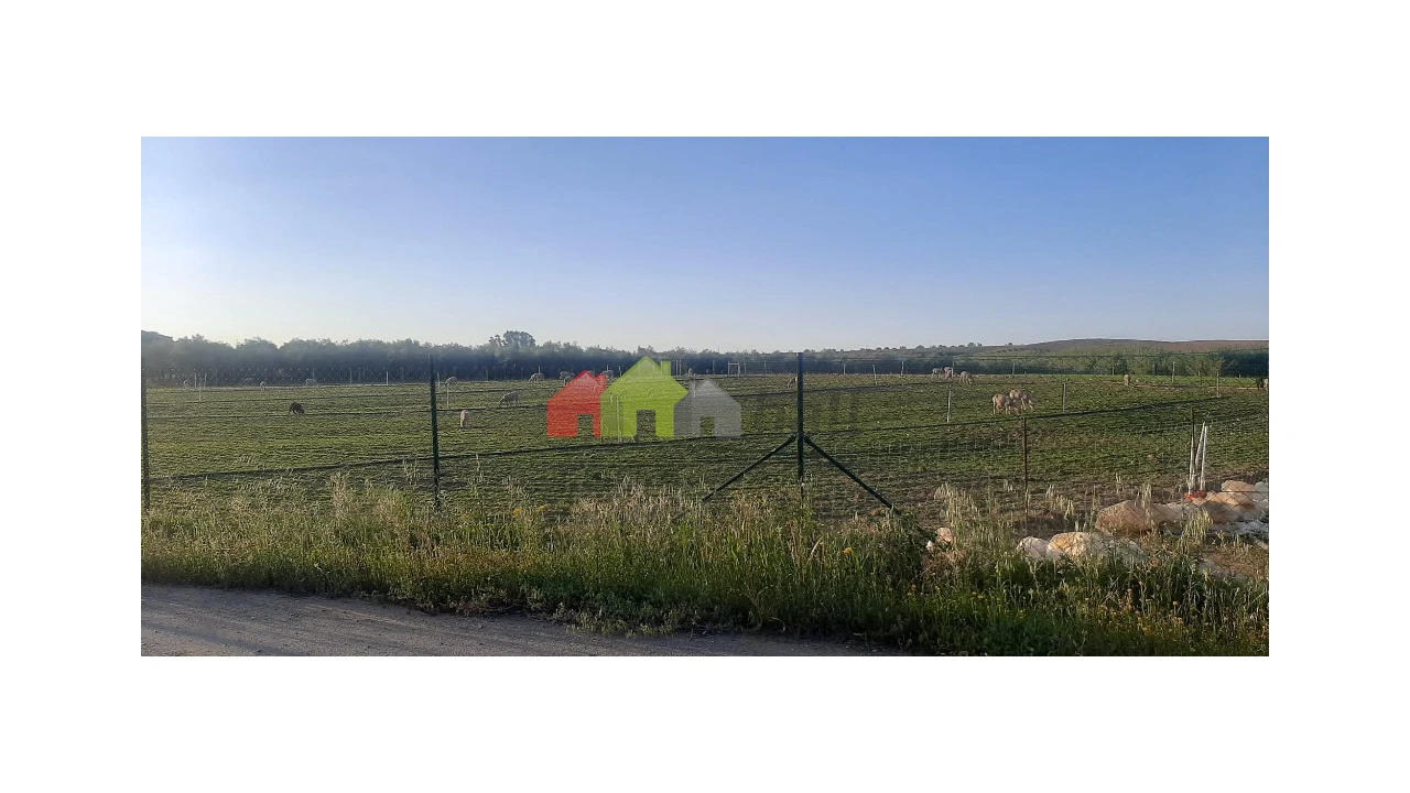 Terreno para Venda em Nossa Senhora das Neves Foto 1