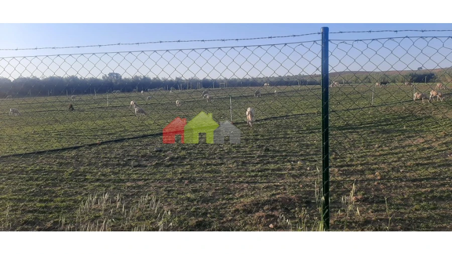 Terreno para Venda em Nossa Senhora das Neves Foto 4