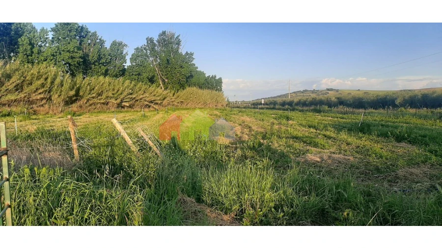 Terreno para Venda em Nossa Senhora das Neves Foto 5