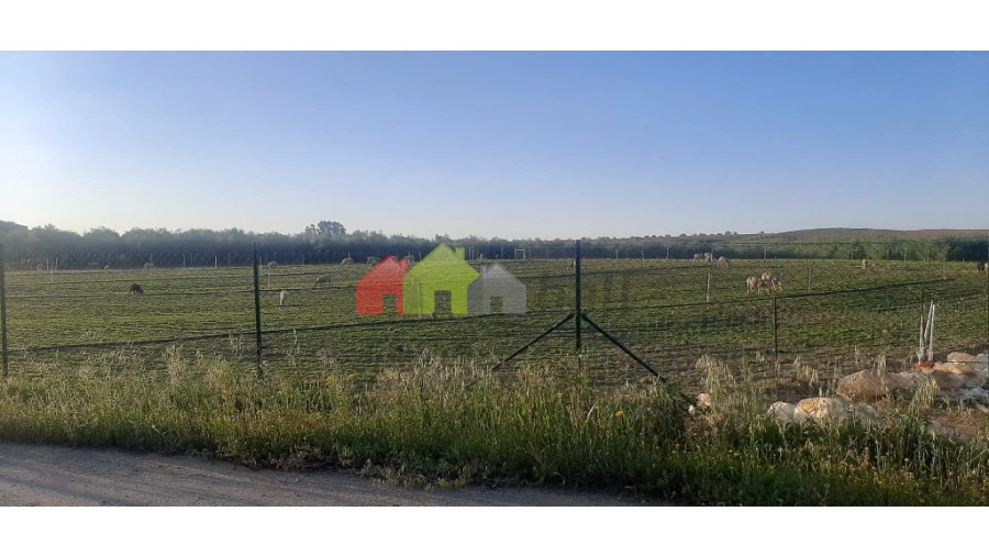 Terreno para Venda em Nossa Senhora das Neves Foto 1