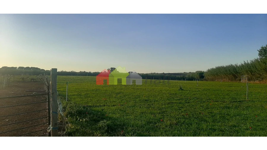 Terreno para Venda em Nossa Senhora das Neves Foto 2