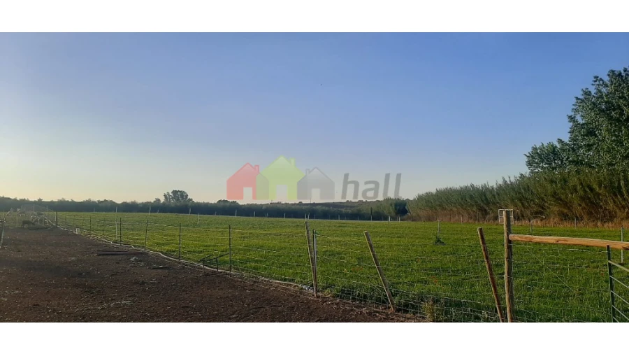 Terreno para Venda em Nossa Senhora das Neves Foto 3