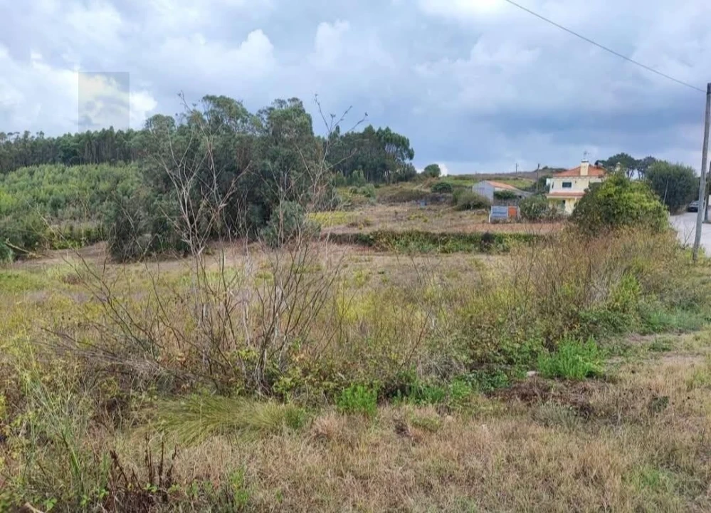 Moradia T3 para Venda em Igreja Nova e Cheleiros Foto 3