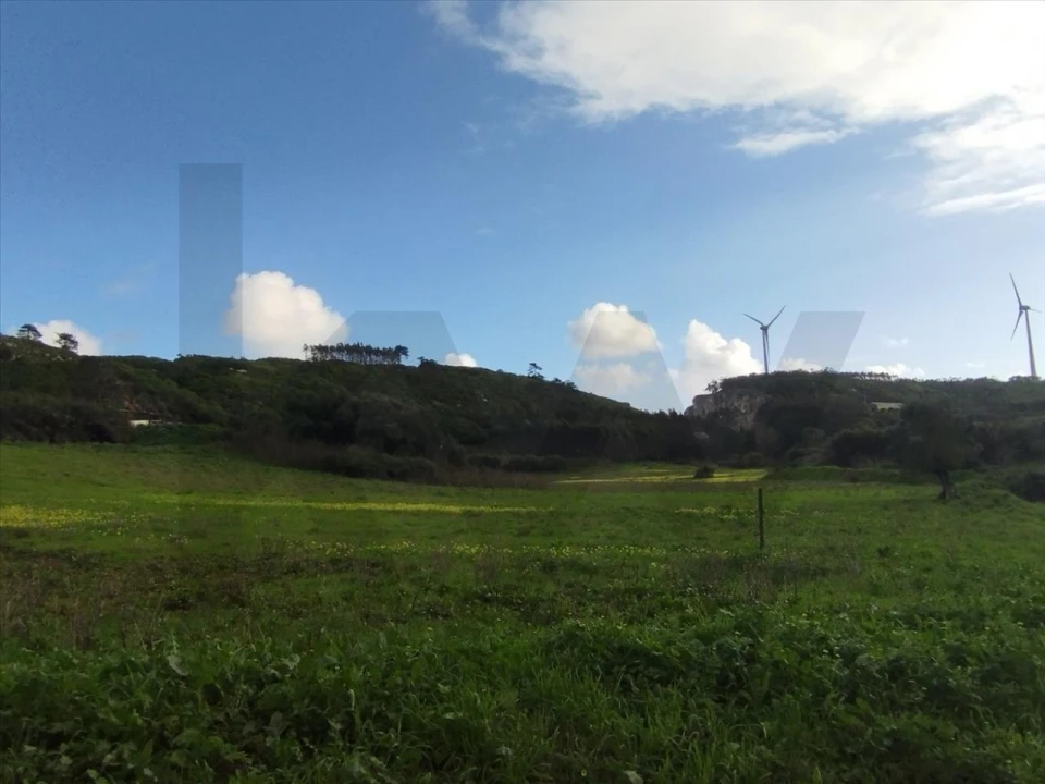 Terreno para Venda em Lourinhã e Atalaia Foto 3