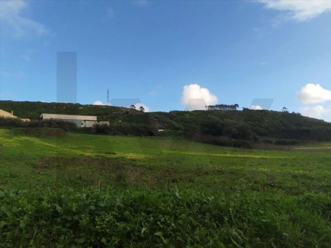 Terreno para Venda em Lourinhã e Atalaia Foto 4