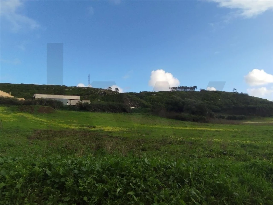 Terreno para Venda em Lourinhã e Atalaia Foto 4