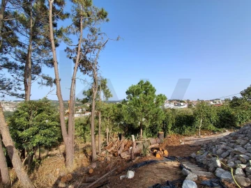 Moradia T5 para Venda em Santo Isidoro