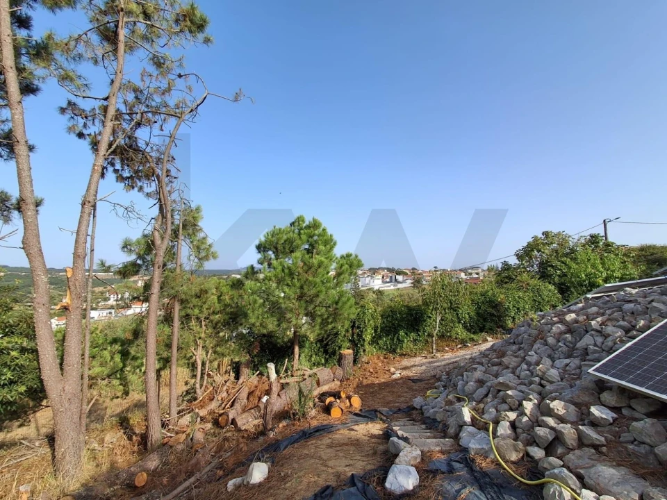Moradia T5 para Venda em Santo Isidoro Foto 4