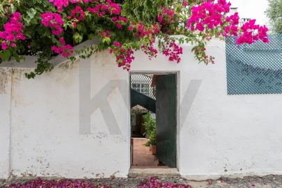 Apartamento T1 para Venda em Belém