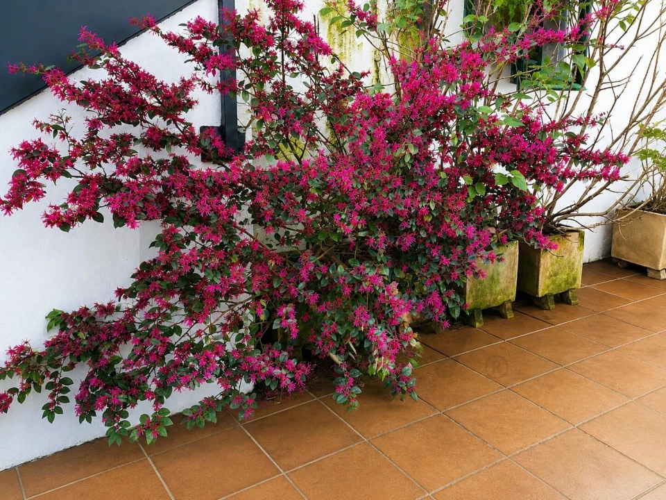Apartamento T1 para Venda em Belém Foto 25
