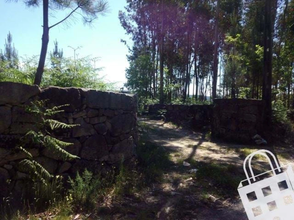 Terreno para Venda em Carvalhais e Candal Foto 1