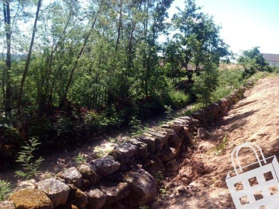 Terreno para Venda em Carvalhais e Candal Foto 2
