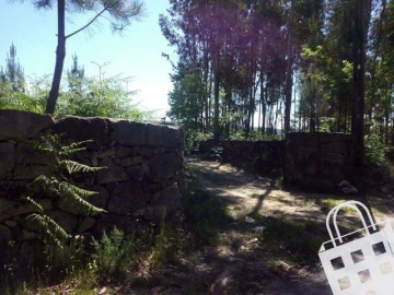 Terreno para Venda em Carvalhais e Candal