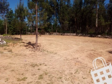 Terreno para Venda em Carvalhais e Candal