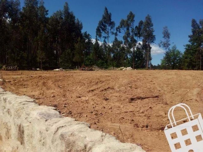 Terreno para Venda em Carvalhais e Candal Foto 3