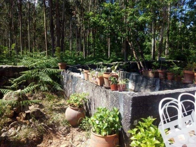 Terreno para Venda em Carvalhais e Candal Foto 8
