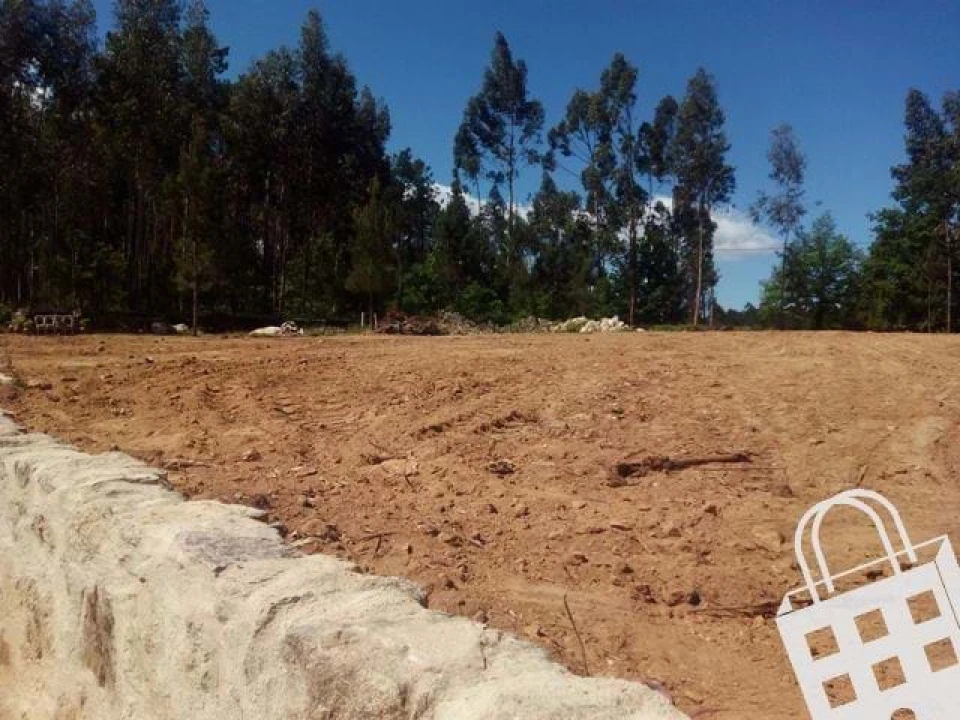 Terreno para Venda em Carvalhais e Candal Foto 3