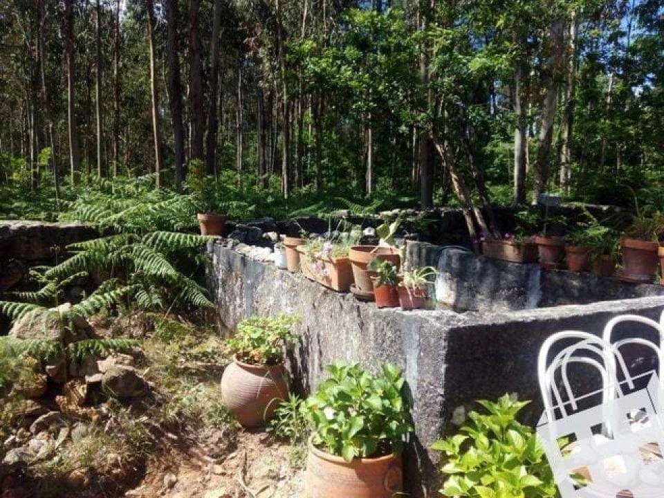 Terreno para Venda em Carvalhais e Candal Foto 8