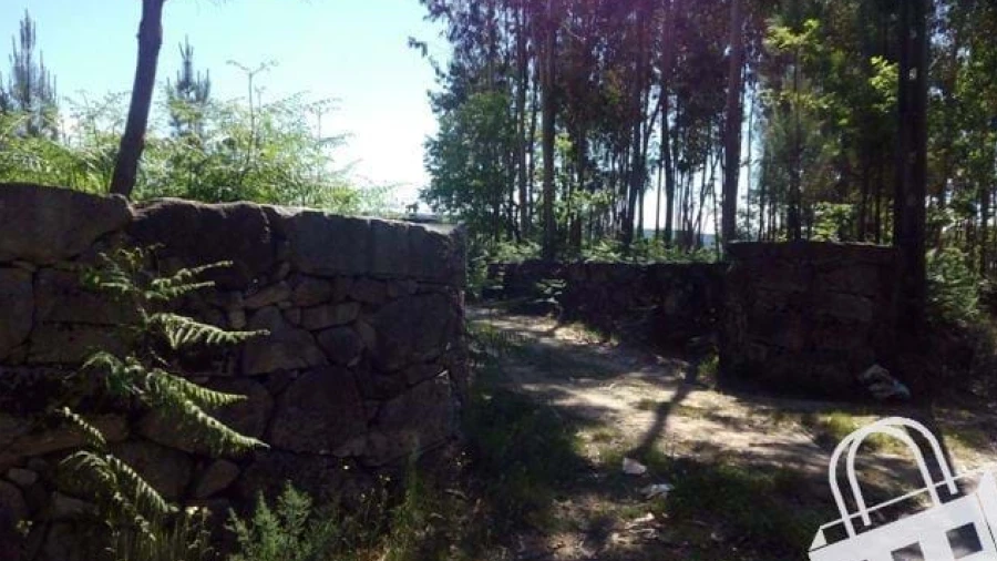 Terreno para Venda em Carvalhais e Candal