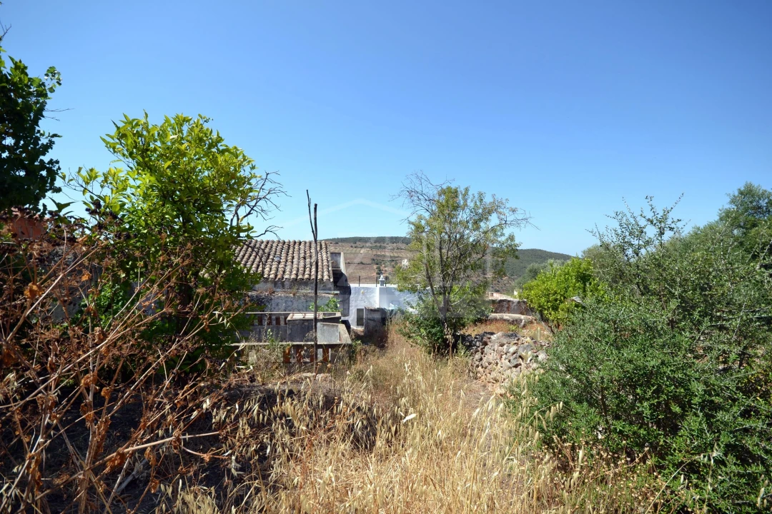 Terreno para Venda em Alte Foto 13