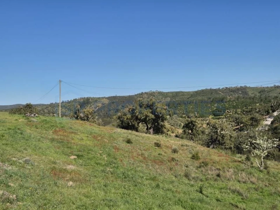Terreno para Venda em Salir Foto 15
