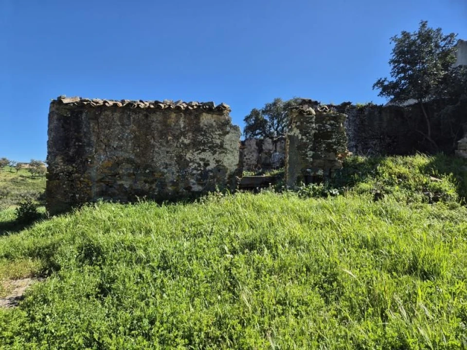 Terreno para Venda em Salir Foto 5