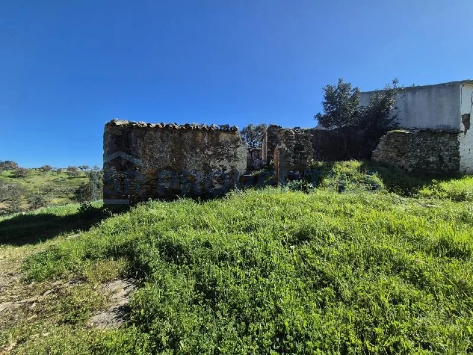 Terreno para Venda em Salir Foto 1