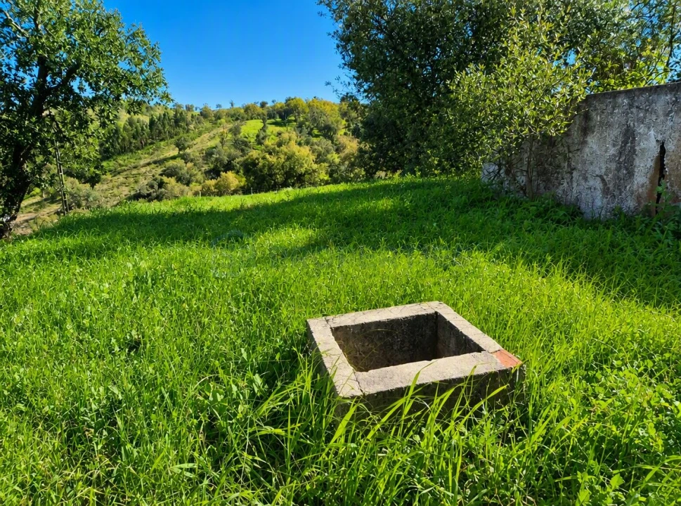 Terreno para Venda em Salir Foto 8