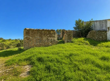 Terreno para Venda em Salir
