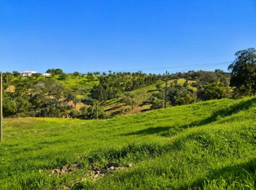 Terreno para Venda em Salir