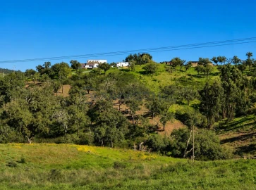Terreno para Venda em Salir