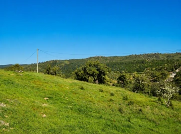 Terreno para Venda em Salir