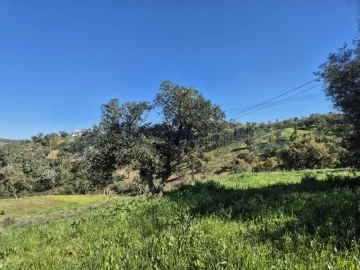 Terreno para Venda em Salir