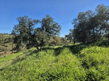 Terreno para Venda em Salir