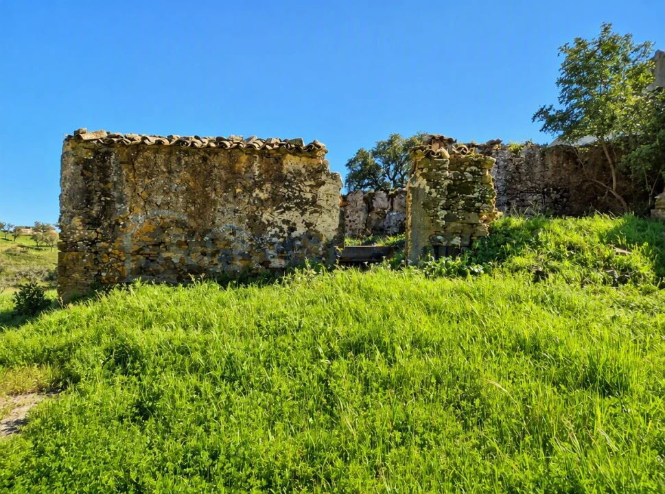 Terreno para Venda em Salir Foto 5