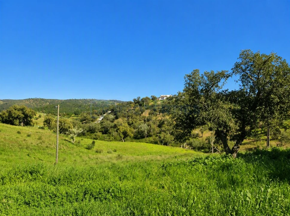 Terreno para Venda em Salir Foto 12