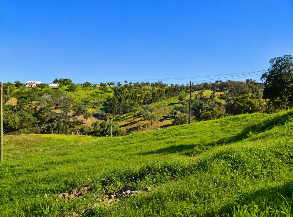 Terreno para Venda em Salir Foto 6