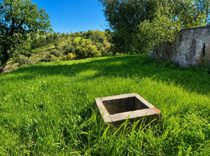 Terreno para Venda em Salir Foto 8