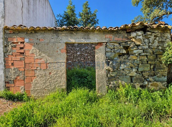 Terreno para Venda em Salir Foto 9