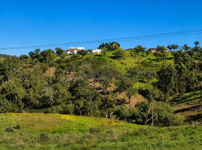 Terreno para Venda em Salir Foto 14