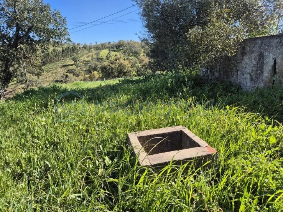 Terreno para Venda em Salir Foto 8