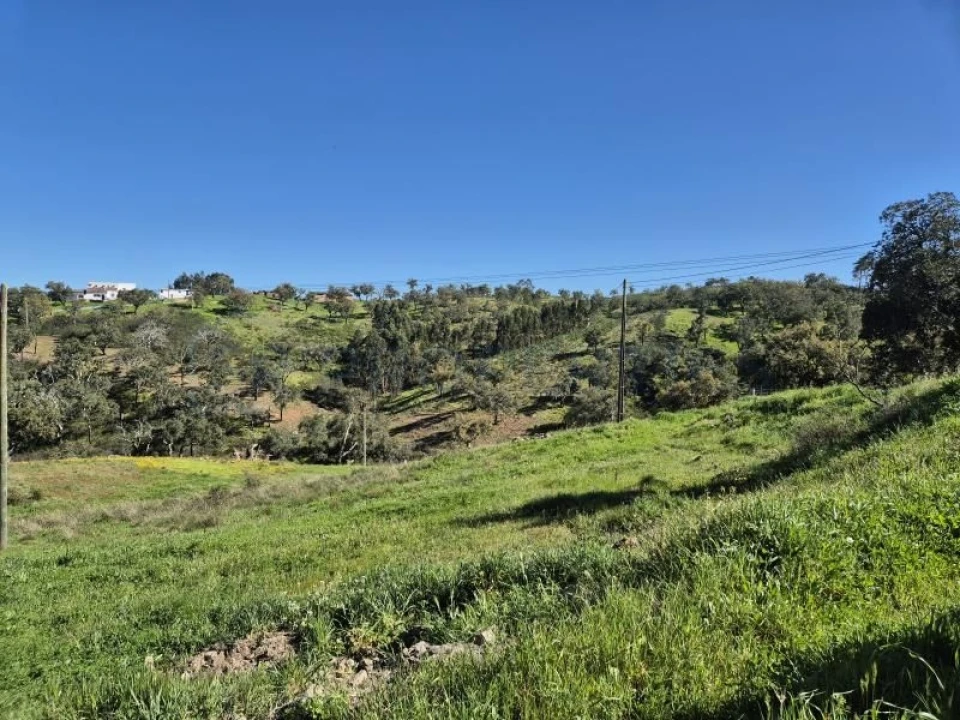 Terreno para Venda em Salir Foto 6