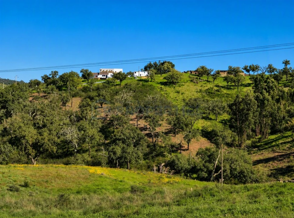Terreno para Venda em Salir Foto 14