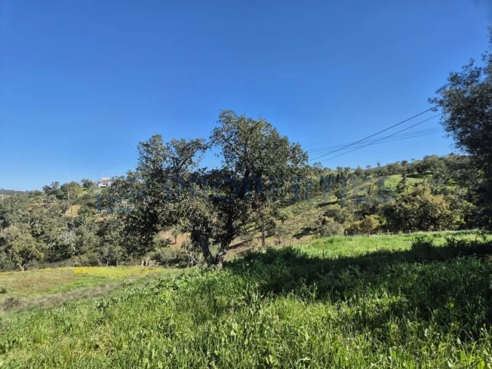 Terreno para Venda em Salir Foto 13