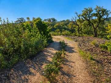 Terreno para Venda em Salir