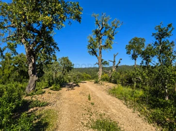 Terreno para Venda em Salir