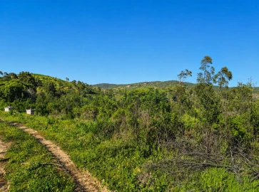 Terreno para Venda em Salir