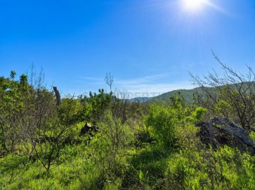 Terreno para Venda em Salir