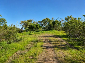 Terreno para Venda em Salir