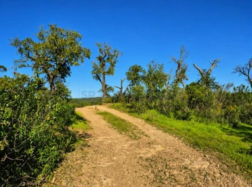 Terreno para Venda em Salir